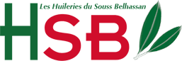 Logo HBS Maroc